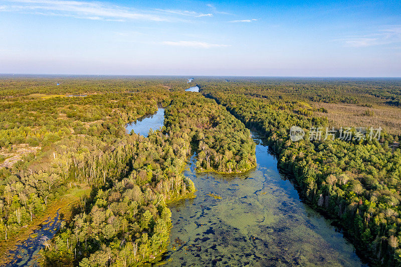 黄昏时的Muskoka Torrance Barrens Dark-Sky保护区，Gravenhurst，加拿大